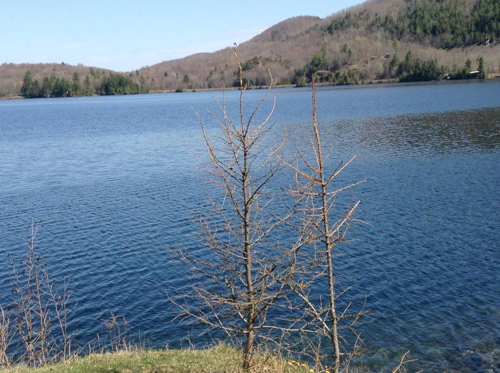 Cottages Du Lac Orford, Cottage A, Cote Raquettes Cottage B, Cote Skis Ийстман Екстериор снимка